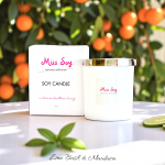 candle - 30cl - lime basil and mandarin