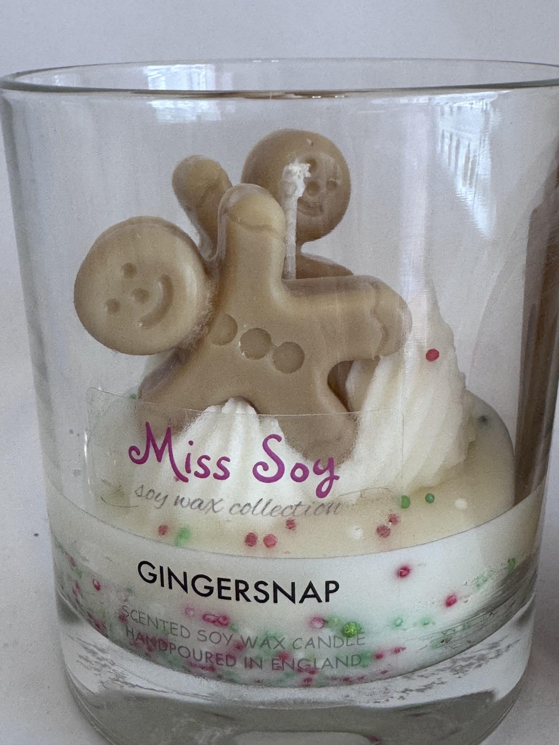 Gingersnap - soylicious