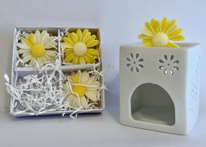 wax melt burner set daisy