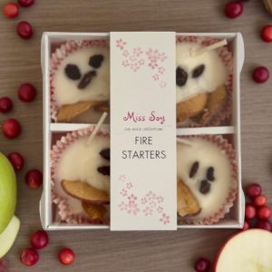 Fire starters : winter morning