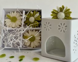 Luxury Handmade Soy Wax Melts - Daisy Collection - Lime Basil & Mandarin
