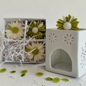 Luxury Soy Wax Daisy Melts - Lime Basil & Mandarin