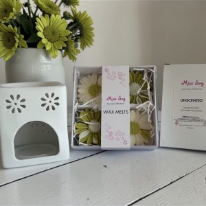 Luxury Soy Wax Daisy Melt Gift Box - LIME BASIL & MANDARIN