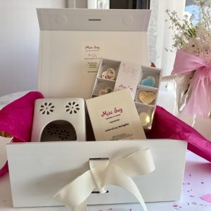 Wax Melts Burner and Melts Gift Box - Nine Perfume Inspired Fragrances