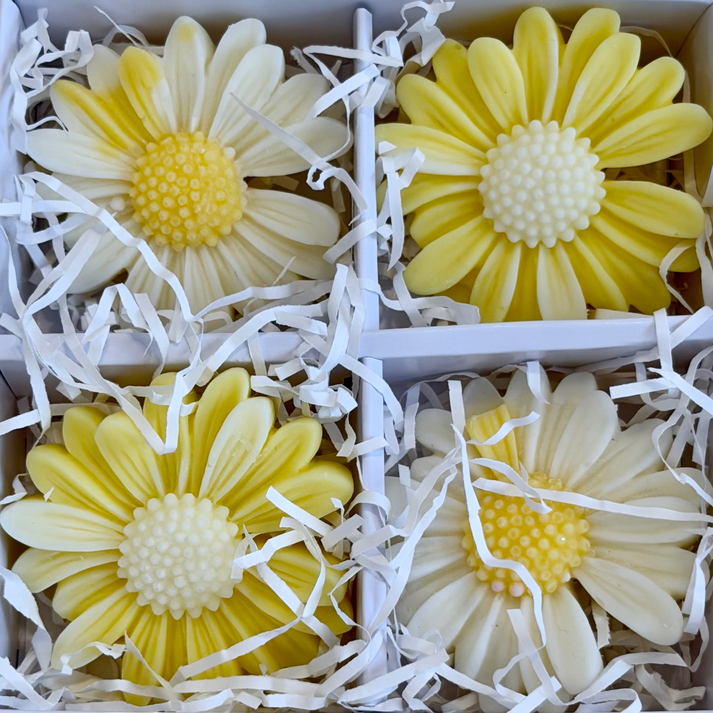 Luxury Soy Wax Daisy Melts - Image 5
