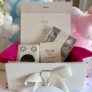 Wax Melts Burner and Melts Gift Box - Nine Soy Wax Ducks in Baby Powder Fragrance