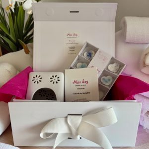 Wax Melts Burner and Melts Gift Box - Nine SPA fragrances