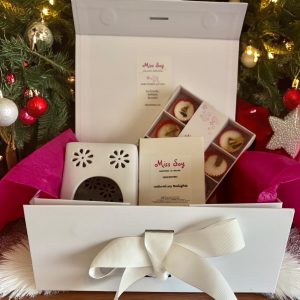 Wax Melts Burner and Melts Gift Box - Nine Christmas Fragrances