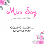Miss Soy Ltd - new website